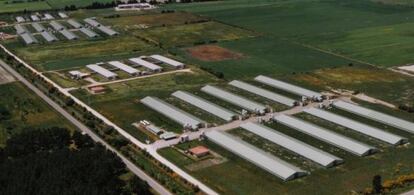 Vista aérea de instalaciones de la cooperativa Coren en Orense