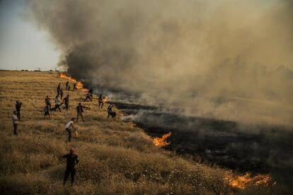 Un grupo de personas combate el fuego en las tierras de cultivo que rodean la ciudad de Qamishli, en el noreste de Siria. 