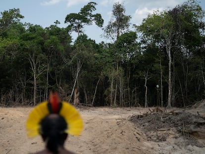 Cúpula do Clima, Biden e Amazônia