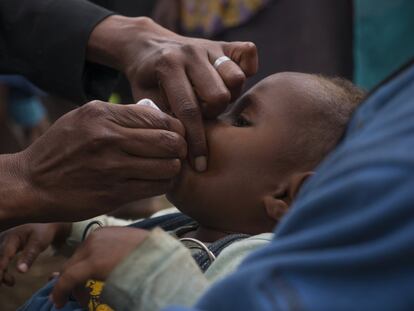 La situación actual para los niños y las familias que viven en las zonas afectadas por un terremoto de magnitud 7,5 el pasado mes de febrero en Papúa Nueva Guinea es "el perfecto caldo de cultivo" para una emergencia causada por brotes de enfermedades. Así lo han alertado este lunes Unicef y la Organización Mundial de la Salud (OMS), que han calificado de "muy probable" el riesgo de que el país se enfrente a dolencias transmitidas a través del agua o prevenibles con una vacuna.