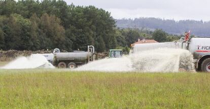 Ganaderos gallegos derraman leche sobre un campo en protesta por la crisis de precios del sector.