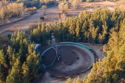 Este rodeo tuvo lugar en la medialuna de Valdivia de Paine, en Buin.