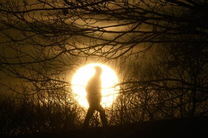 Celebramos la belleza y la variedad de la flora y la fauna salvajes que sirve para crear conciencia acerca de la multitud de beneficios que la conservación de estas formas de vida tiene para la humanidad. En la imagen, puesta de sol en Primrose Hill en Londres (Reino Unido), el 24 de enero de 2017.