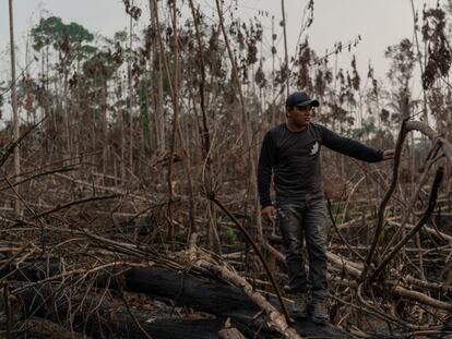 Eric Karipuna, de 24 años, observa una zona devastada dentro de la tierra indígena karipuna, en Porto Velho.