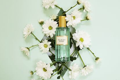 La manzanilla romana es la nota principal de Mémoire d’un Odeur, la nueva fragancia de Gucci.