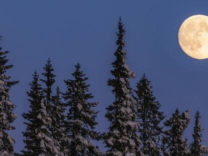 Primera superluna de 2020: cuándo y cómo ver la ‘Luna de nieve’ de febrero