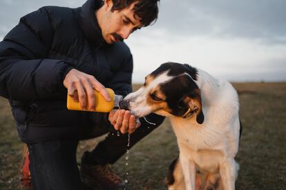 No hay que olvidar llevar agua que, además de prevenir la deshidratación y los golpes de calor, puede ser un elemento esencial si la mascota tiene contacto con la oruga procesionaria.