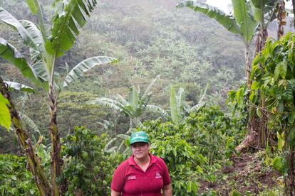 Lesbia Johana Montenegro Blandón es una de las productoras de café en Nicaragua que trabaja con Aldea Global desde 2011. "Aquí apoyan a las mujeres, no solo a los varones. Y nos ayudan a conseguir nuestros derechos: a trabajar, a tener nuestras propiedades. El terreno que tengo lo he comprado con la ayuda de la asociación. Han depositado su confianza en mí y me han dado acceso a los créditos; con eso he llegado a tener lo que tengo. Es bueno que las mujeres se digan: 'yo puedo'. El Comercio Justo nos hace entender que valemos mucho".