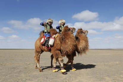 Dos jovenes corredores sobre sus camellos.