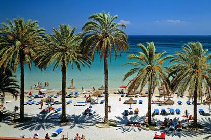 Palmeras en la playa d'en Bossa, en Ibiza.