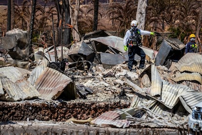 Combined Joint Task Force 50 (CJTF-50) search, rescue and recovery personnel conduct search operations of areas damaged by Maui wildfires in Lahaina, Hawaii, on Aug. 15, 2023.