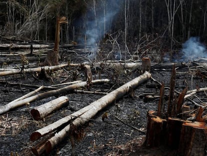 Região da Amazônia brasileira depois dos incêndios.