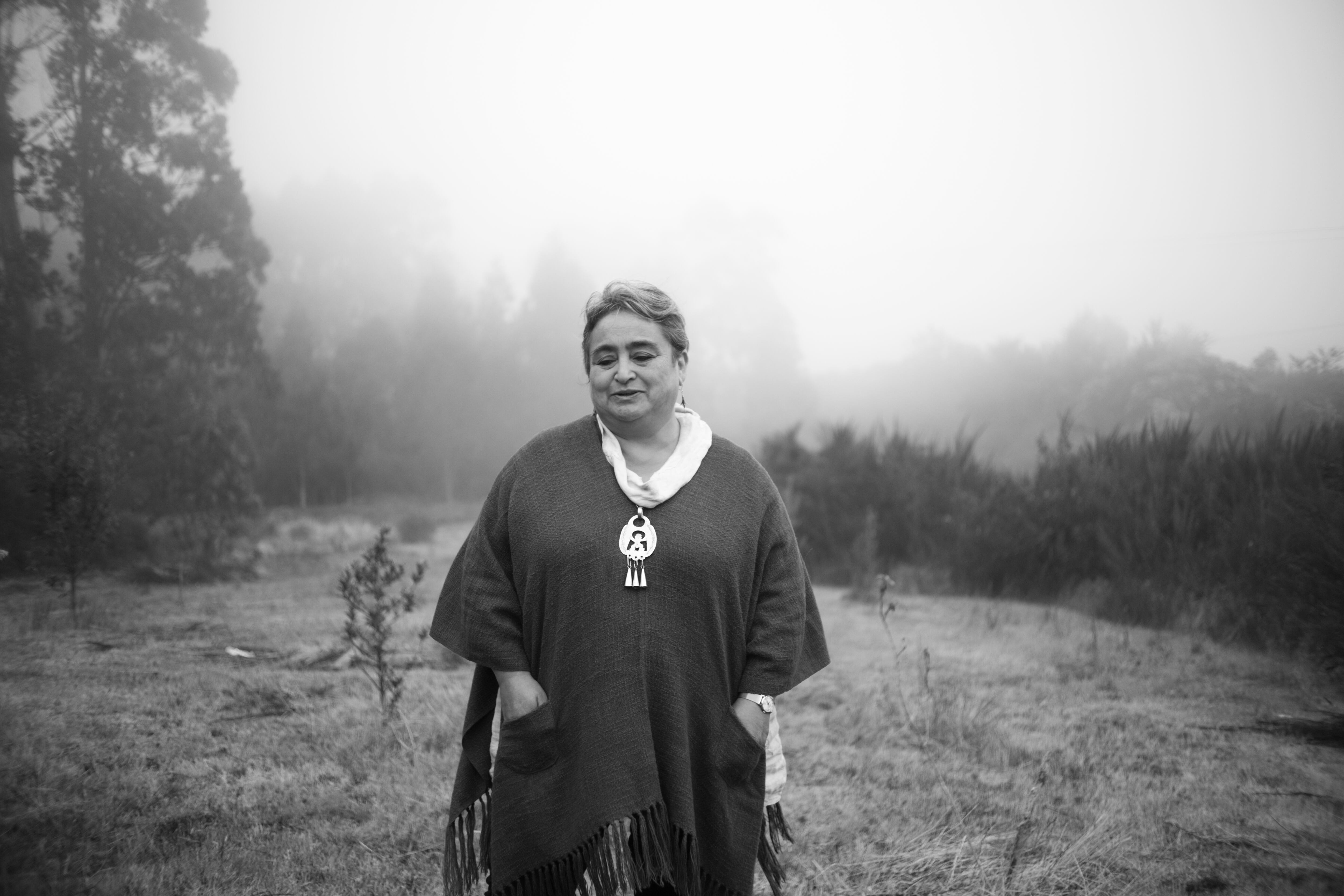 Rosabetty Muñoz, un faro de la poesía en Chiloé