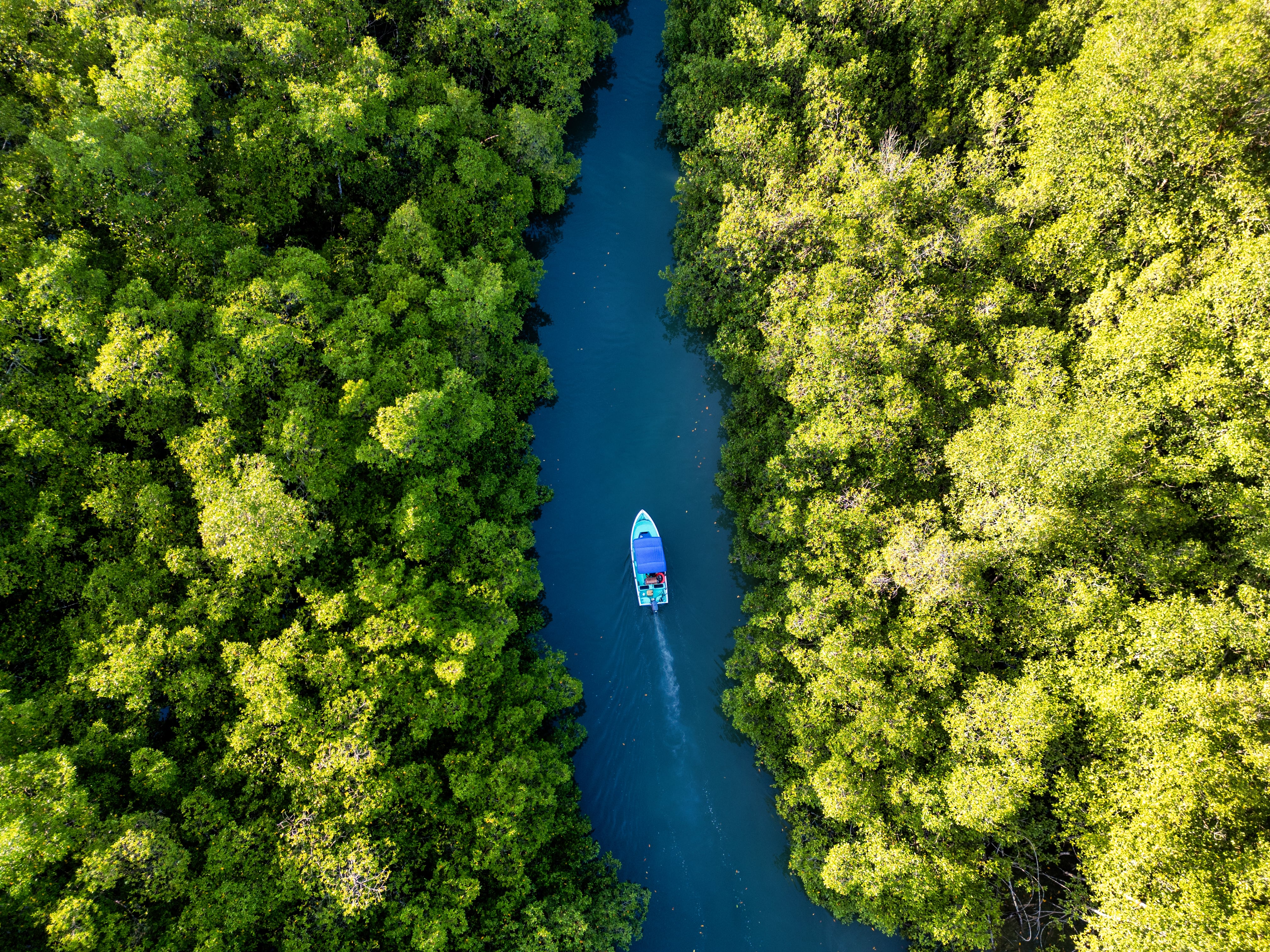 Rumbo al sur secreto de Costa Rica: entre el canto de las olas y el quetzal