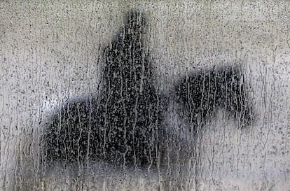 Un jinete y su caballo fotografiados a través de un cristal con lluvia durante la sesión de entrenamientos en el hipódromo de Pimlico, Baltimore, donde se celebrará la carrera Preakness Stakes el sábado 17.