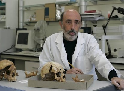 El antropólogo y forense Francisco Etxeberria, en su laboratorio de la Universidad del País Vasco.