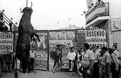 Un toro es cargado por una grúa en la plaza de Arganda.
