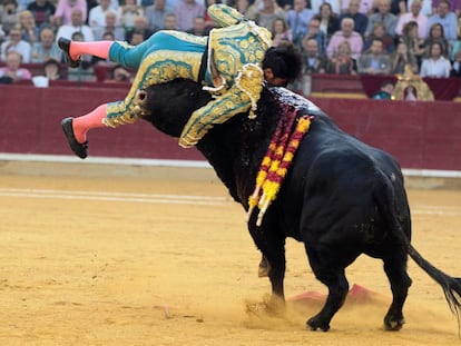 El diestro Cayetano Rivera es cogido este mi&eacute;rcoles en la faena a su primer toro, de Parlad&eacute;, durante la corrida de la Feria del Pilar de Zaragoza.