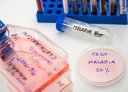 Instrumental relacionado con la investigación de la malaria en un laboratorio.