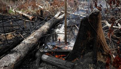Los estragos causados por el incendio en la selva amazónica