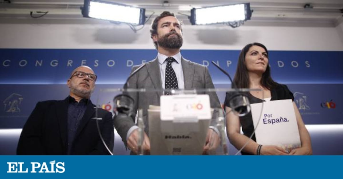 Vox descarta sentarse en el Parlamento europeo con Salvini y Le Pen ...