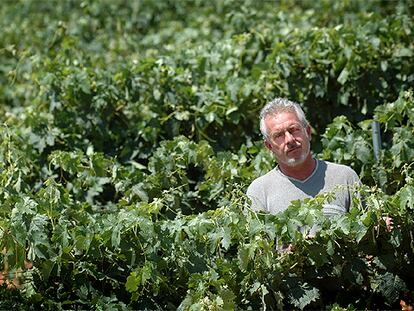 Octavio Maeso, en sus viñedos, situados en la localidad valenciana de Caudete de las Fuentes.