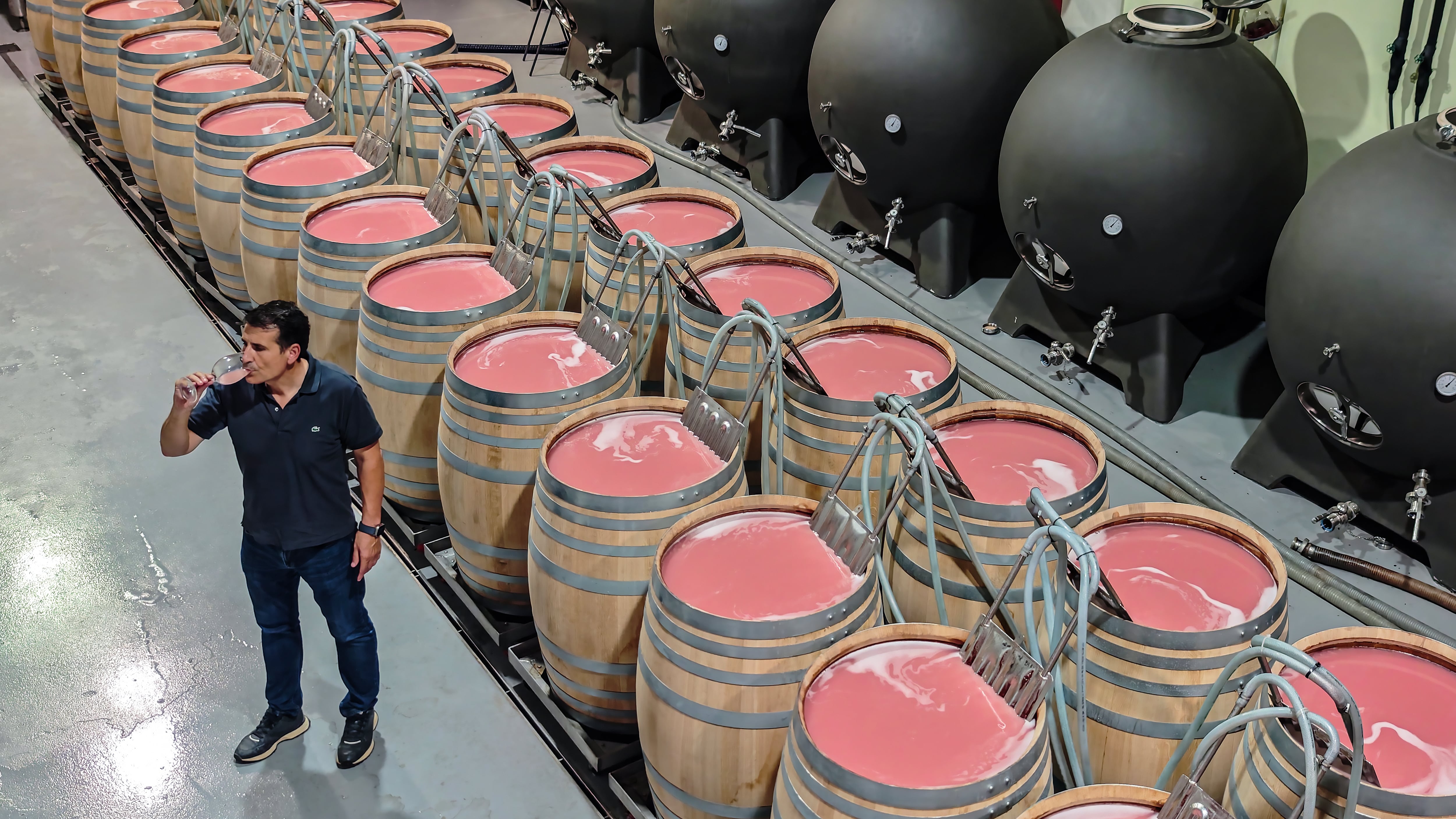 Descubriendo Requena, Ciudad Española del Vino 2026