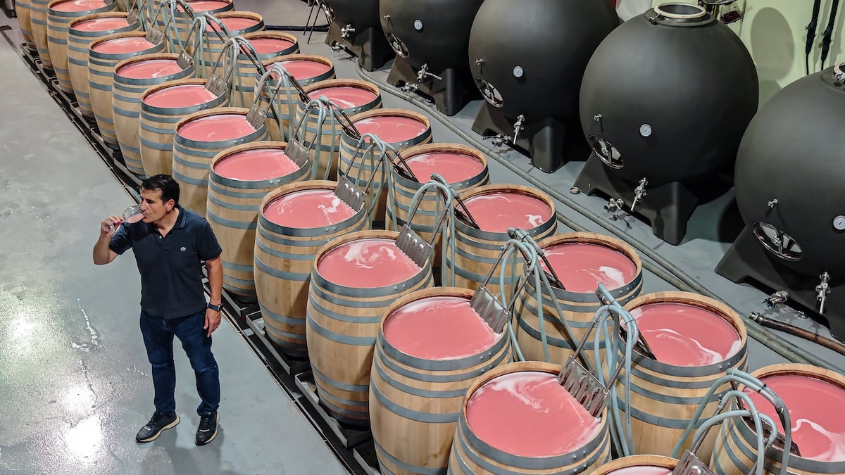 Descubriendo Requena, Ciudad Española del Vino 2026