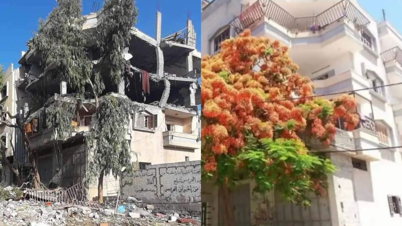 La casa de la familia de Helmi Hirez, en el barrio Rimal de Gaza capital, en la actualidad y antes de la guerra. 