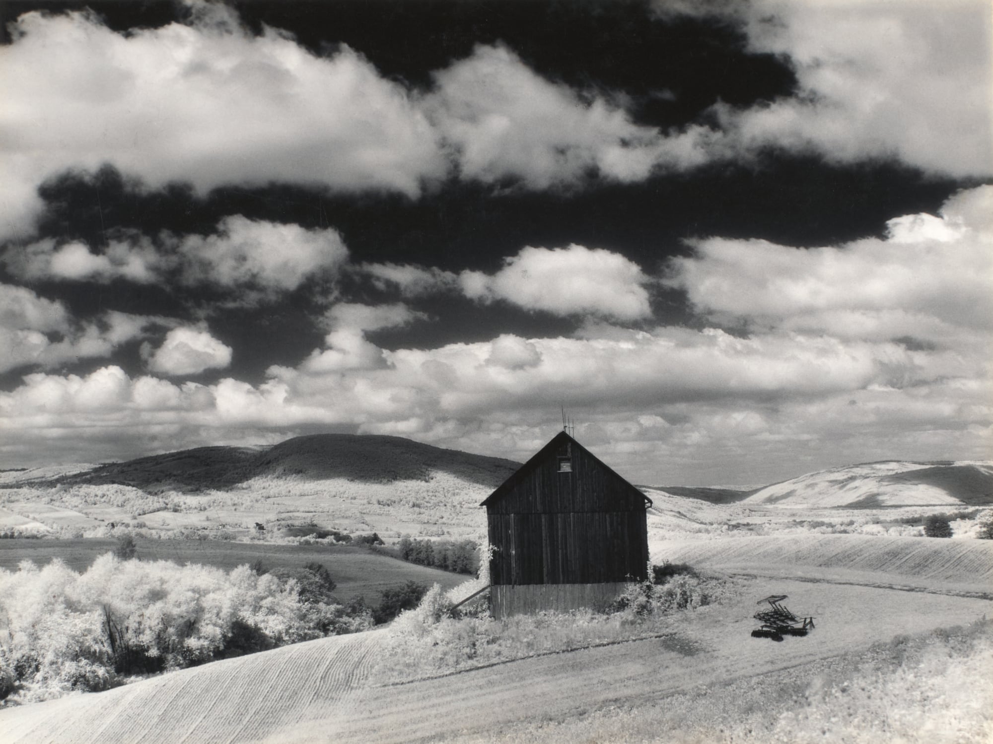 Minor White: la fotografía como bálsamo de la homosexualidad reprimida