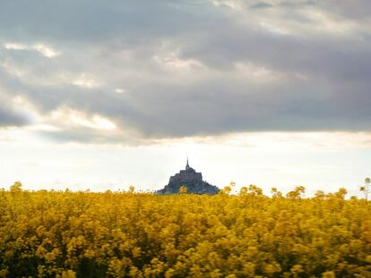 Un campo florido, 
con Mont-Saint-Michel de fondo. 
