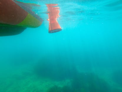 Lo vigilantes introducen un batiscopio en para observa el estado de la pradera de posidonia en una cala de Xàbia.