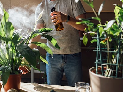 Un hombre usando el Tratamiento contra orugas en sus plantas.