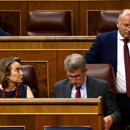 Miguel Ángel Tellado, portavoz parlamentario del PP, se dirige a la tribuna este jueves. Sentados, Cuca Gamarra y Alberto Núñez Feijóo.