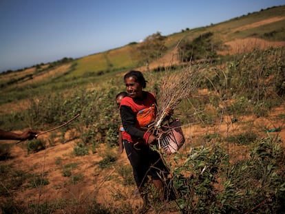 Kazy Zanapizo trabaja en sus terrenos de cultivo en Ambori, Madagascar, en febrero de 2022. Este país está a punto de sufrir la primera hambruna causada por el cambio climático.