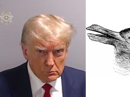 Donald Trump, en una imagen proporcionada por la prisión del condado de Fulton, en el Estado de Georgia. Y, a la derecha, la ilusión óptica del pato-conejo.