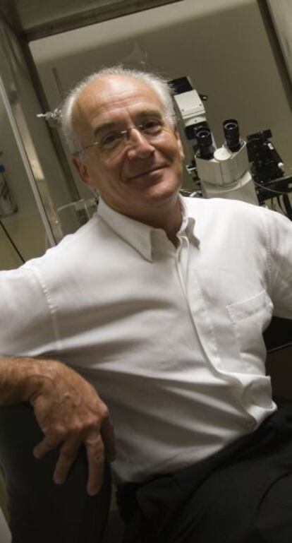 Carlos Belmonte, catedrático de Fisiología de la UMH.