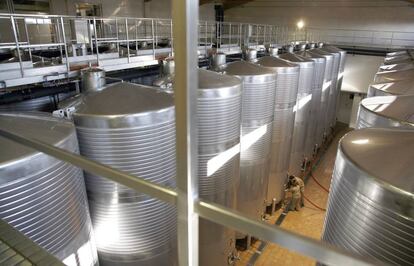Bodega de vino albariño.