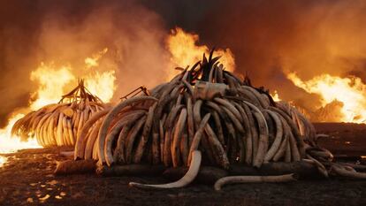 Fotograma del documental 'Anthropocene: the human epoch'.