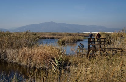 Observatorio de aves en el humedal de la Marjal del Moro, en los alrededores de Sagunto.