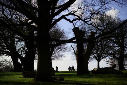 Un grupo de gente descansa y disfruta del sol en el parque de Richmond en Londres (Reino Unido).