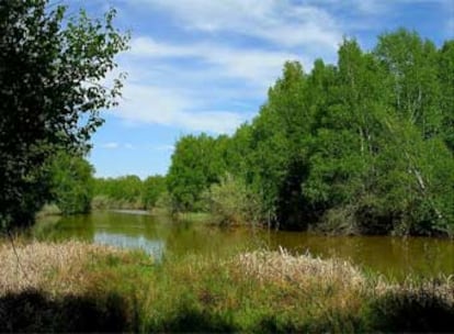 <i>Soria. </i>Cada verano vuelvo a Soria. Una novedad: mientras se despuebla el paisaje de toda la provincia, a sólo dos kilómetros de la capital, a orilla del Duero y bajo las ruinas de Numancia, en una zona protegida se construye imparable la ciudad del medio ambiente, un complejo residencial para 5.000 "veraneantes". Me acordé de aquella viñeta de Quino: "Talemos la selva para hacer un parque natural". Me temo que algún día algunos llamarán a esto progreso. Y me temo que también volveremos a añorar lo que perdimos, a comprar lo que malvendimos. Hay cosas que ni se compran ni se venden: el cielo limpio, el aire puro y transparente.


<b>Mercedes Álvarez</b> es cineasta.