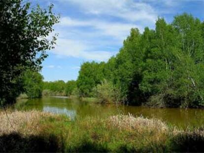 <i>Soria. </i>Cada verano vuelvo a Soria. Una novedad: mientras se despuebla el paisaje de toda la provincia, a sólo dos kilómetros de la capital, a orilla del Duero y bajo las ruinas de Numancia, en una zona protegida se construye imparable la ciudad del medio ambiente, un complejo residencial para 5.000 "veraneantes". Me acordé de aquella viñeta de Quino: "Talemos la selva para hacer un parque natural". Me temo que algún día algunos llamarán a esto progreso. Y me temo que también volveremos a añorar lo que perdimos, a comprar lo que malvendimos. Hay cosas que ni se compran ni se venden: el cielo limpio, el aire puro y transparente.
<b>Mercedes Álvarez</b> es cineasta.