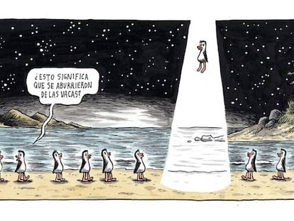 Aburridos de las vacas