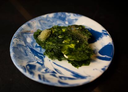 Lechuga de mar, lima.