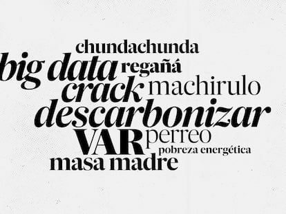 Las nuevas palabras que entran en el ‘Diccionario de la lengua española’: machirulo, ‘big data’, regañá, VAR, perreo, chundachunda y pobreza energética