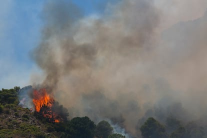 Vista desde Málaga del incendio de la Sierra de Mijas, que ha obligado al desalojo de más de 3.000 personas en Alhaurín el Grande y Alhaurín de la Torre, este sábado. 