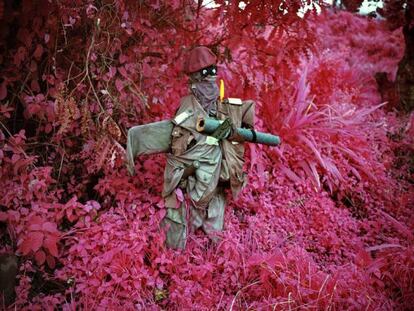 Obra de Richard Mosse.