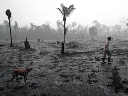 Fazendeiro caminha em meio a área devastada por incêndio na região de Porto Velho, Rondônia.