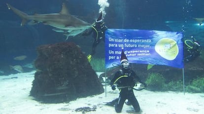 Pedro, en el Aquàrium de Barcelona y entre tiburones.